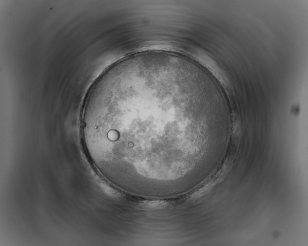 X0000100471282200806201558