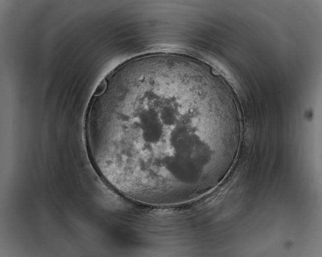 X0000100471283200806201558