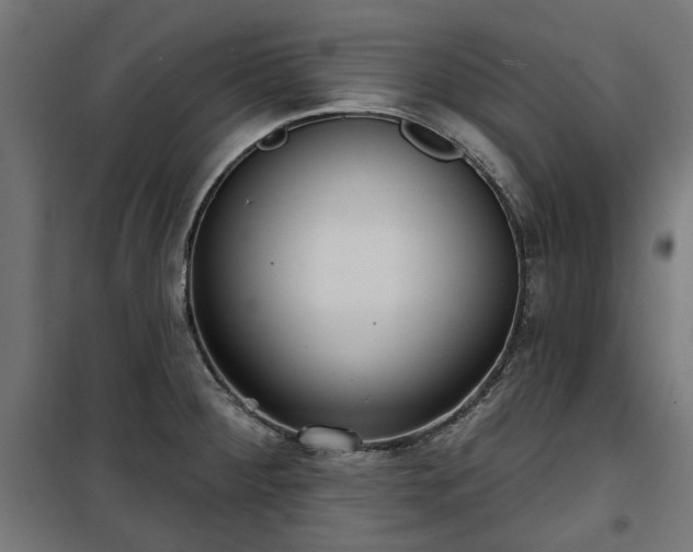 X0000100471284200806201558