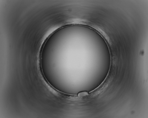 X0000100471285200806201558