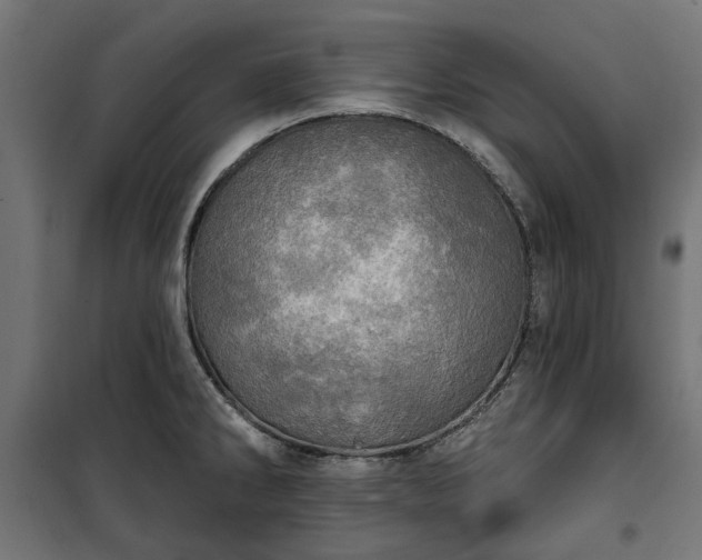 X0000100471286200806201558