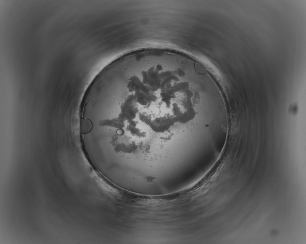 X0000100471287200806201558