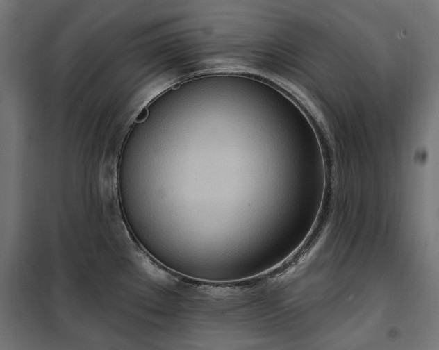 X0000100471289200806201558