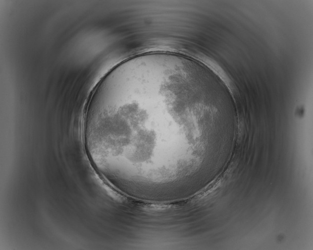 X0000100471290200806201558