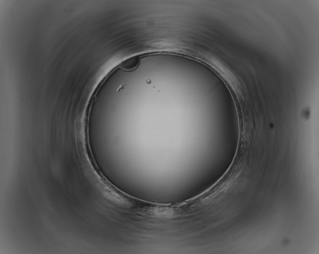 X0000100471291200806201558