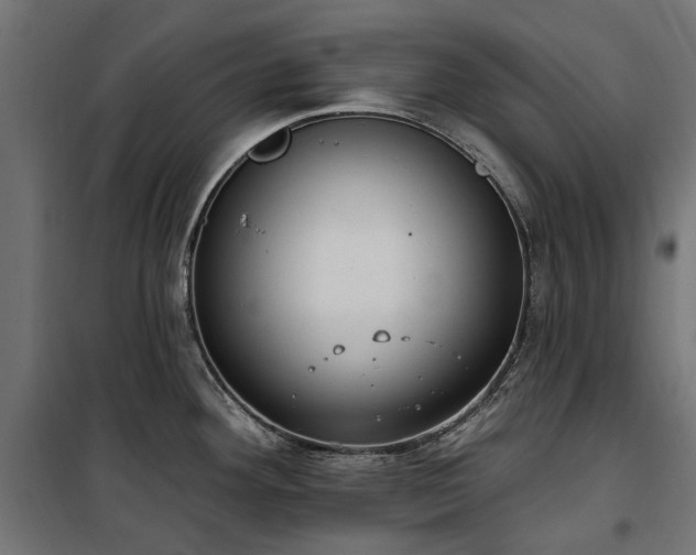 X0000100471292200806201558