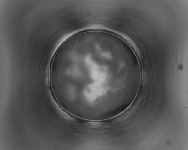 X0000100471295200806201558