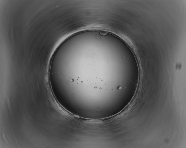 X0000100471296200806201558