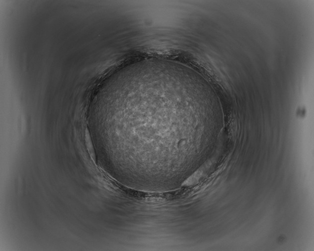 X0000100471297200806201557