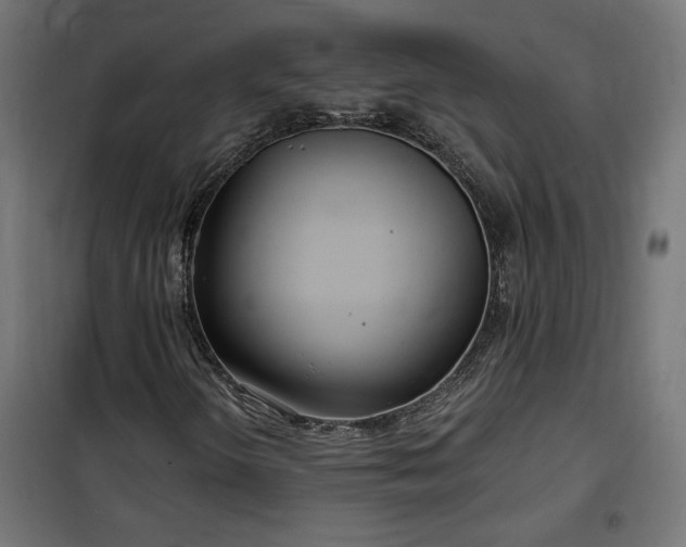 X0000100471298200806201557