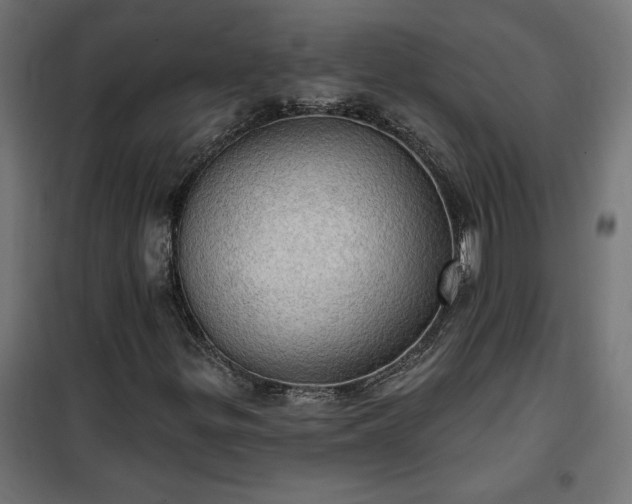 X0000100471299200806201557