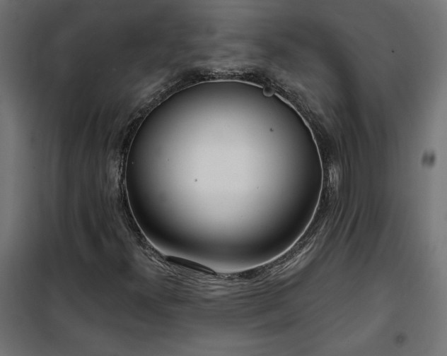 X0000100471300200806201557