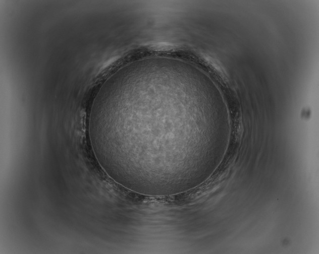 X0000100471301200806201557