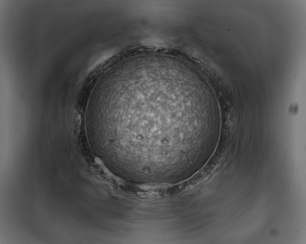 X0000100471302200806201557