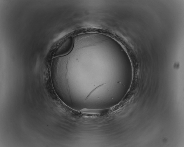 X0000100471303200806201557