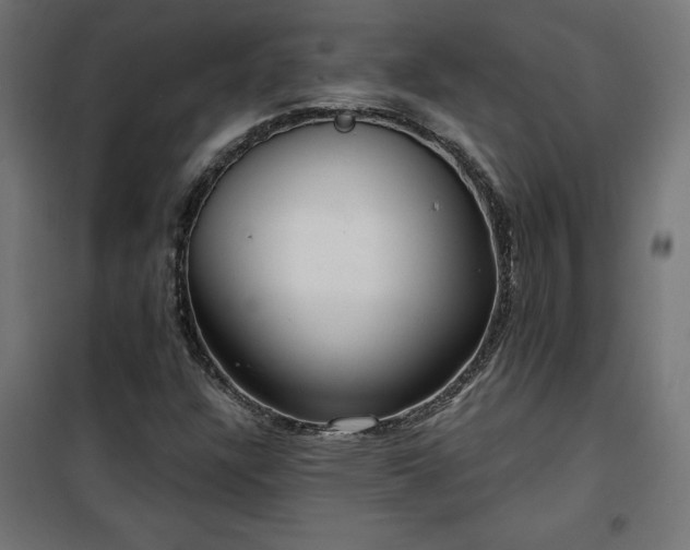 X0000100471304200806201557