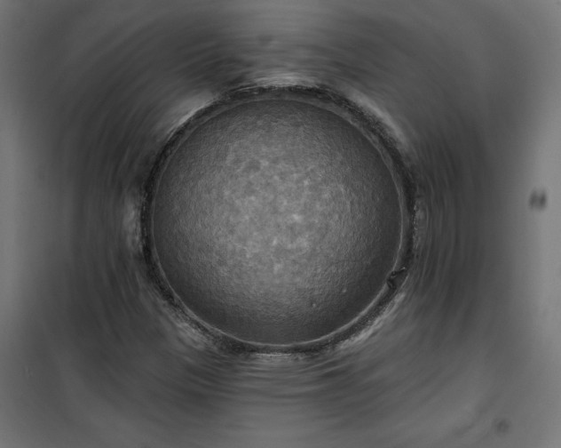 X0000100471305200806201557