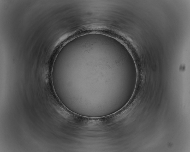 X0000100471306200806201557