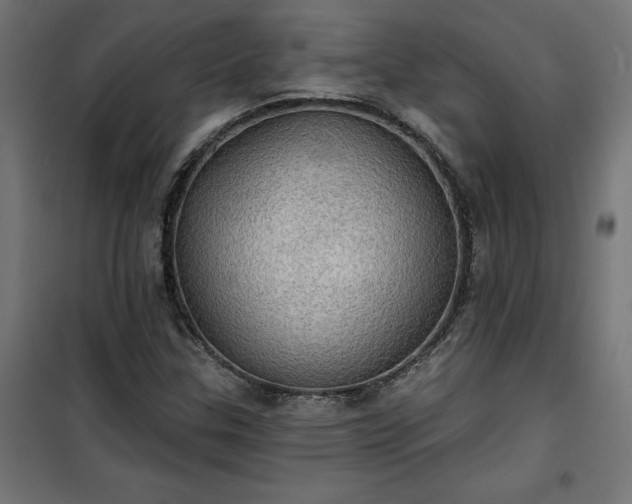 X0000100471307200806201557