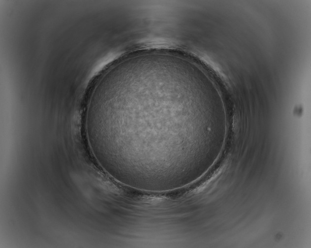 X0000100471309200806201557