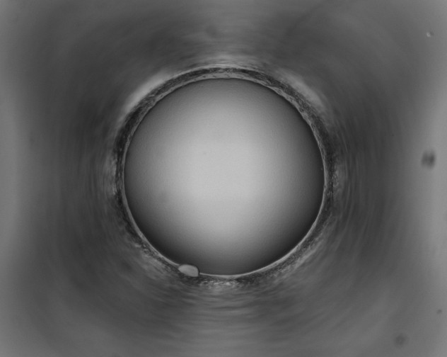 X0000100471310200806201557