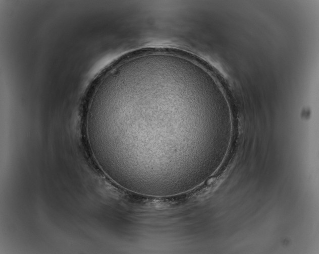 X0000100471311200806201557