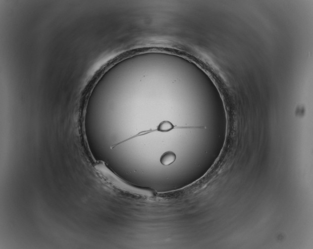 X0000100471312200806201557