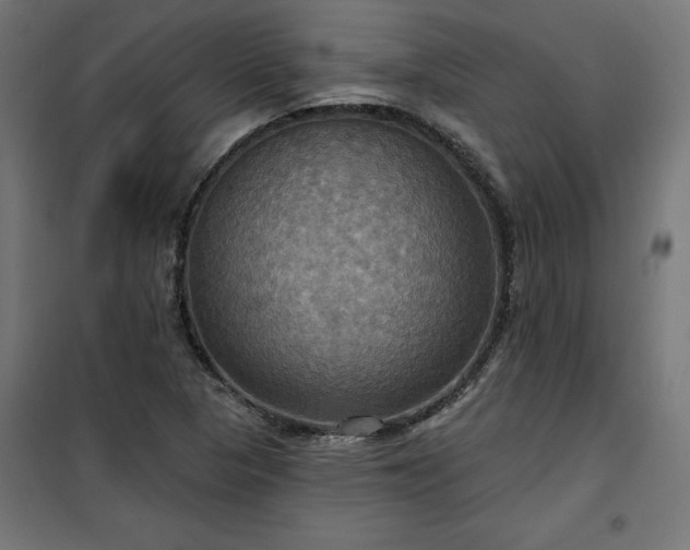 X0000100471313200806201557