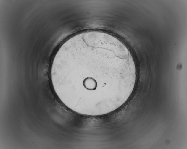 X0000100471314200806201557