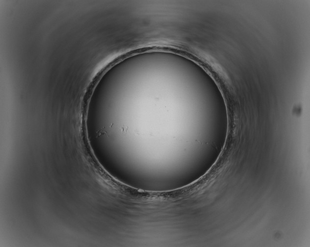 X0000100471316200806201557