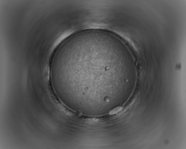 X0000100471317200806201557