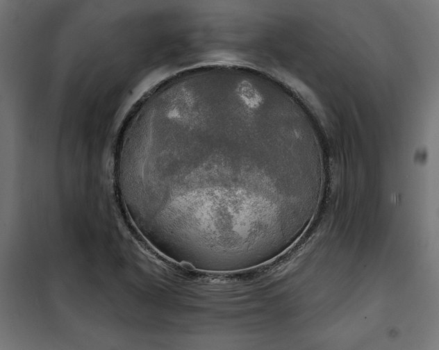 X0000100471318200806201557