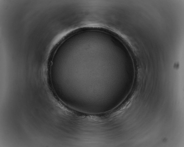 X0000100471319200806201557