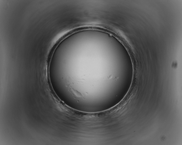 X0000100471320200806201557