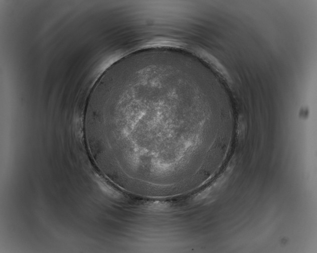 X0000100471321200806201557