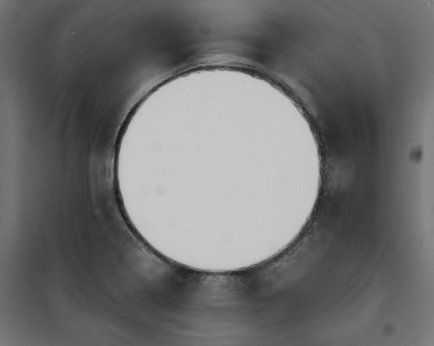 X0000100471322200806201557