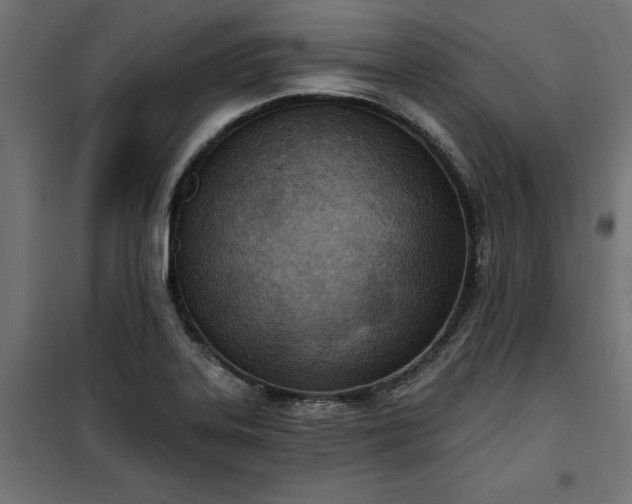 X0000100471323200806201557