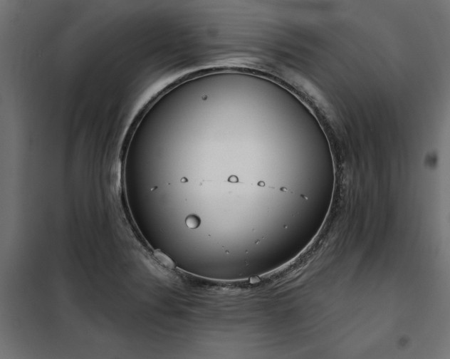 X0000100471324200806201557