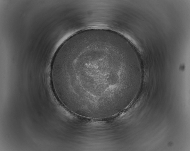 X0000100471325200806201557