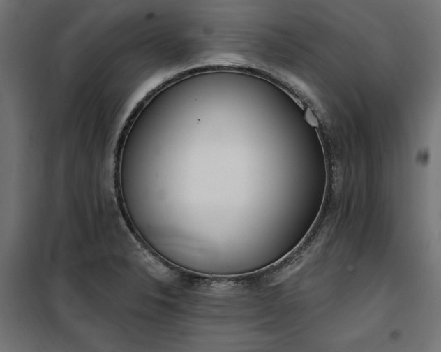 X0000100471326200806201557