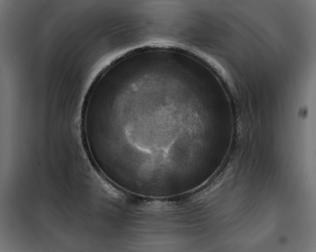 X0000100471327200806201557