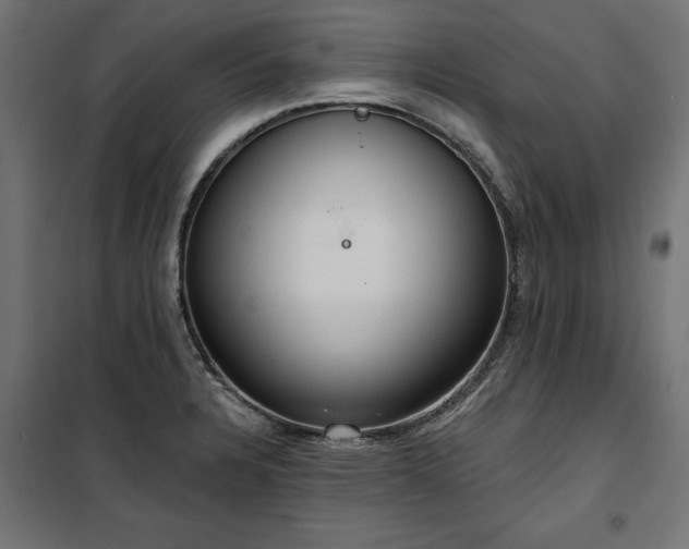 X0000100471328200806201557