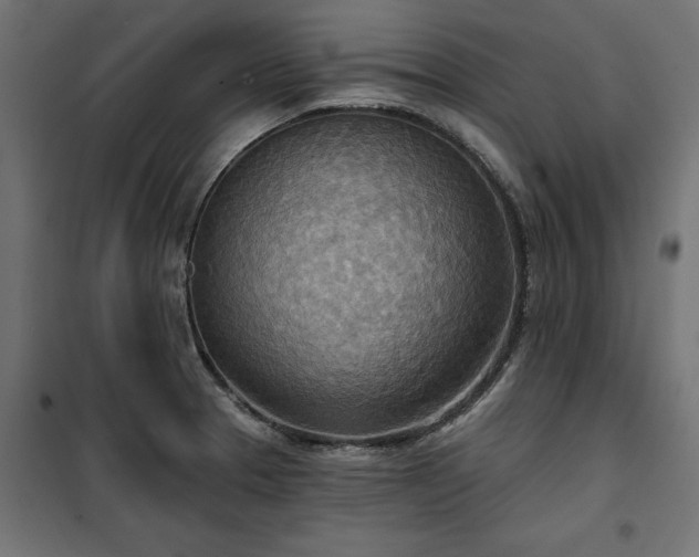 X0000100471329200806201557