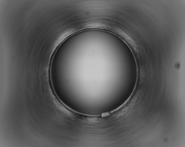 X0000100471330200806201557