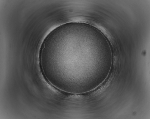 X0000100471331200806201558