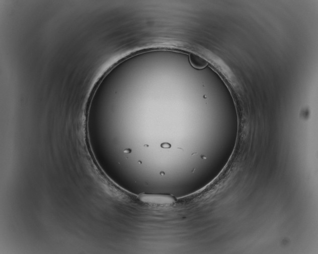 X0000100471332200806201558