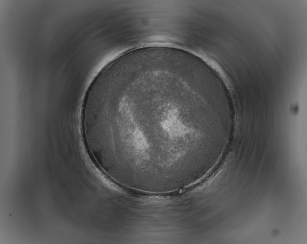 X0000100471333200806201558