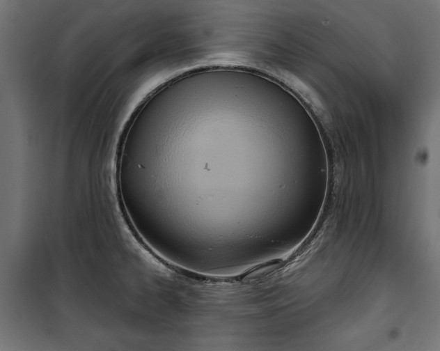 X0000100471334200806201558