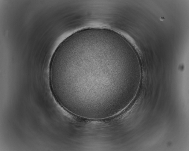 X0000100471335200806201558