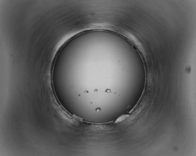 X0000100471336200806201558